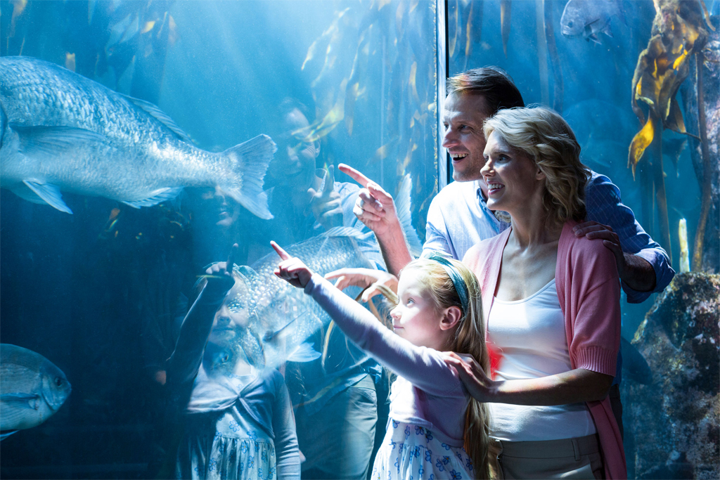 Georgia Aquarium